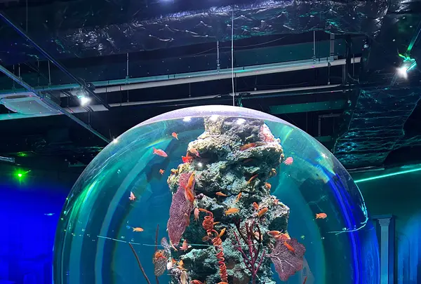 アトア（átoa）の写真・動画_image_1499897
