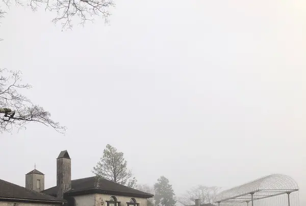 箱根ガラスの森美術館の写真・動画_image_1503369