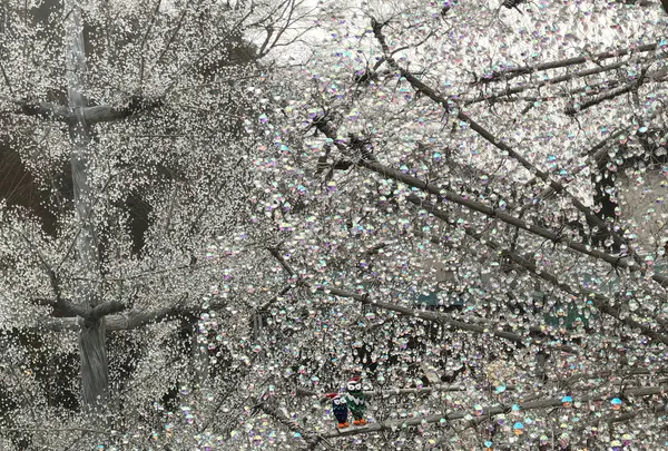 箱根ガラスの森美術館の写真・動画_image_1503371