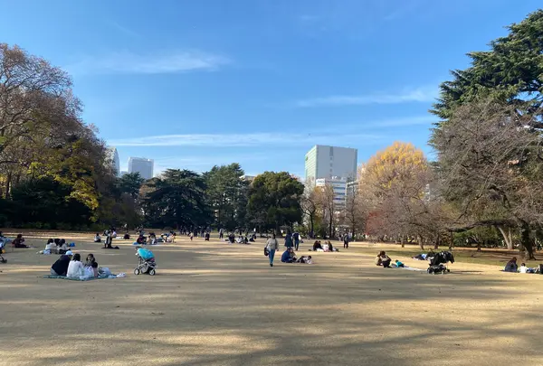 新宿御苑の写真・動画_image_1509773