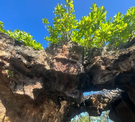 グランド・ハイアット・バリの写真・動画_image_1514196