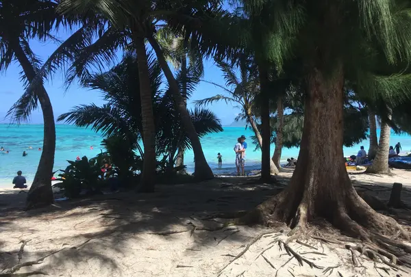 Manyagaha Island（マニャガハ島）の写真・動画_image_1517231