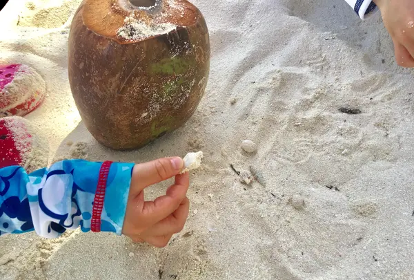 Manyagaha Island（マニャガハ島）の写真・動画_image_1517232