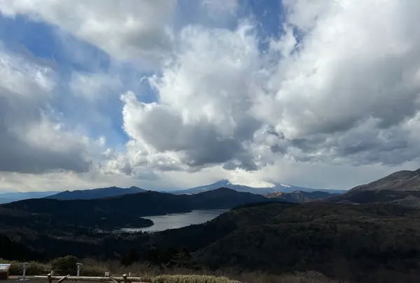 大観山の写真・動画_image_1523445
