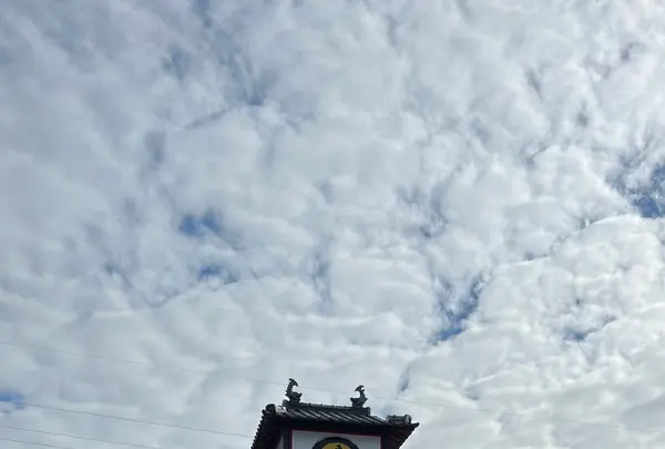 魚匠庵（ぎょしょうあん）の写真・動画_image_1528404