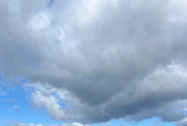 大津湖岸なぎさ公園の写真・動画_image_1528491