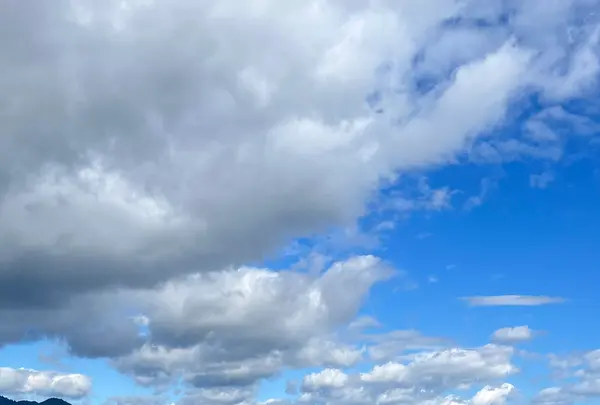 大津湖岸なぎさ公園の写真・動画_image_1528492