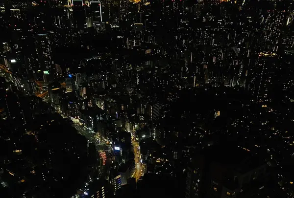Tokyo City View（東京シティビュー）六本木ヒルズ展望台の写真・動画_image_1530476