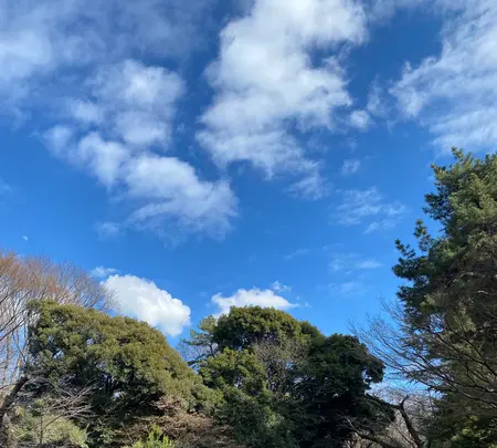 東京都庭園美術館の写真・動画_image_1538339