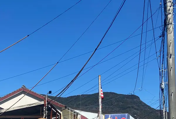 Ｋａｙａバーガーショップの写真・動画_image_1538845