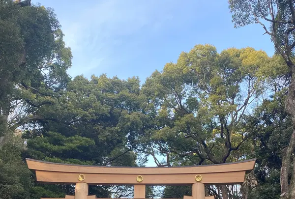 明治神宮の写真・動画_image_1543104