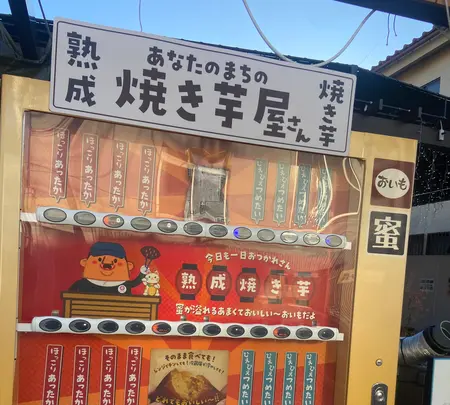 小江戸川越一番街商店街 蔵造りの町並みの写真・動画_image_1544820