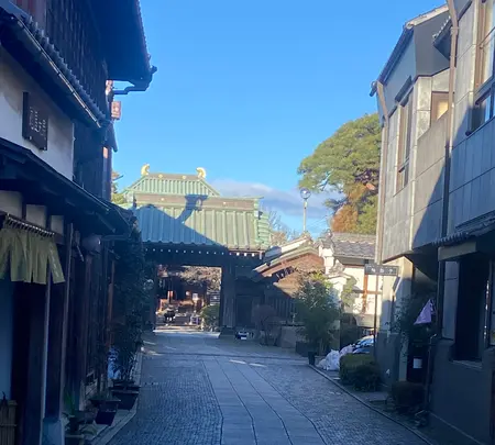 小江戸川越一番街商店街 蔵造りの町並みの写真・動画_image_1544828