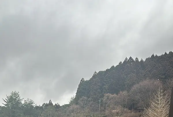 THE CANYON MOUNTAIN CAMPの写真・動画_image_1547974