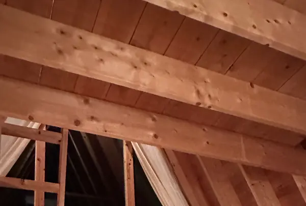 THE CANYON MOUNTAIN CAMPの写真・動画_image_1547977