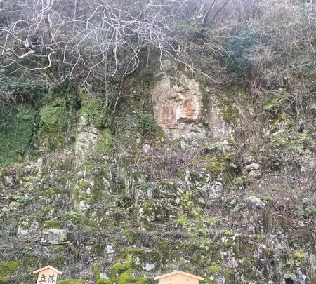 金比羅山の写真・動画_image_1568687