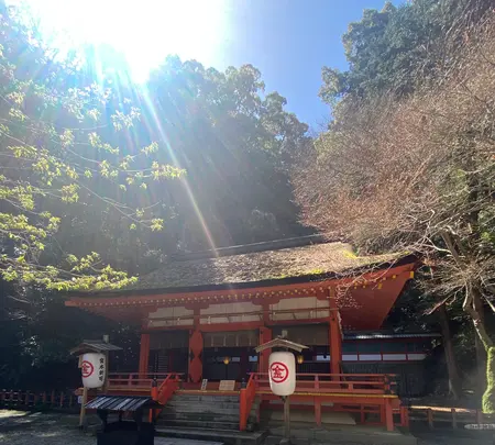 金比羅山の写真・動画_image_1568690