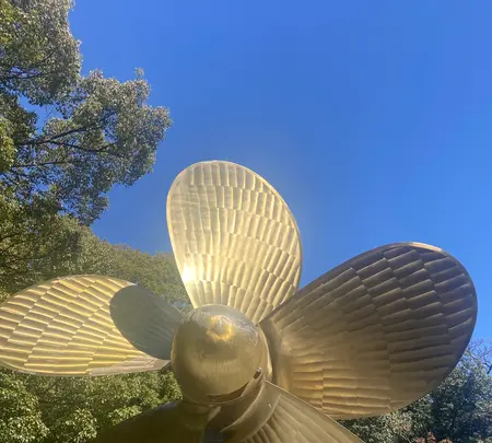 金比羅山の写真・動画_image_1568692