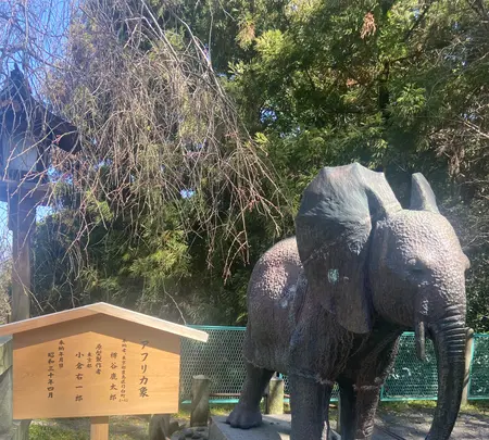 金比羅山の写真・動画_image_1568693