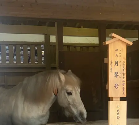 金比羅山の写真・動画_image_1568694