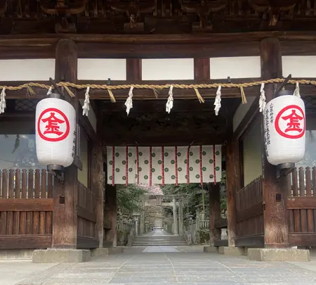 金比羅山の写真・動画_image_1568702