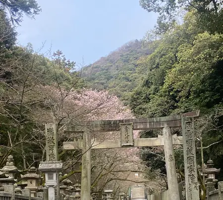 金比羅山の写真・動画_image_1568703