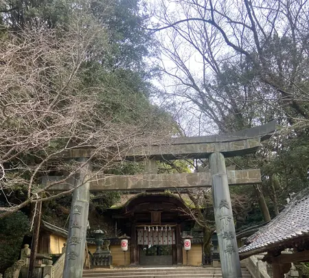 金比羅山の写真・動画_image_1568704