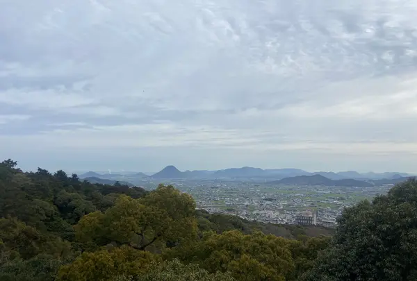 金比羅山の写真・動画_image_1568705