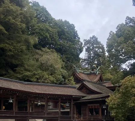 金比羅山の写真・動画_image_1568706