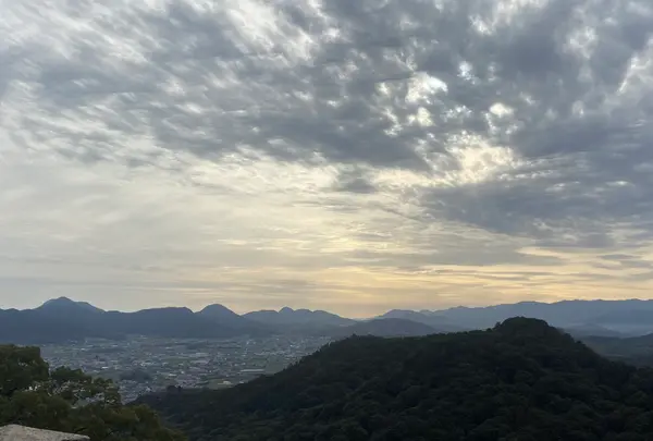 金比羅山の写真・動画_image_1568707