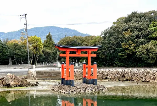 白鳥八幡宮の写真・動画_image_1572699
