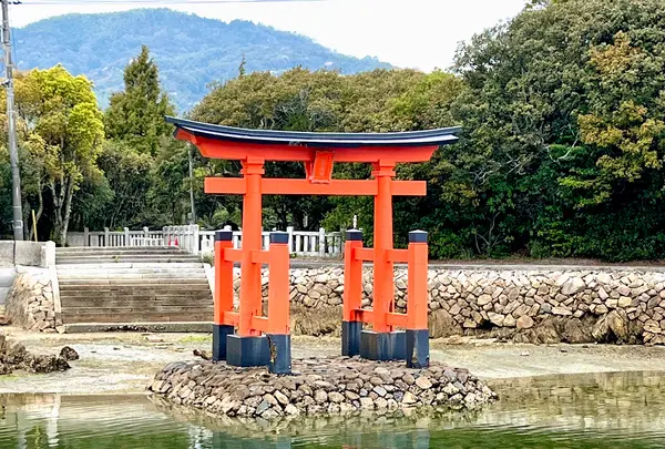 白鳥八幡宮の写真・動画_image_1572700