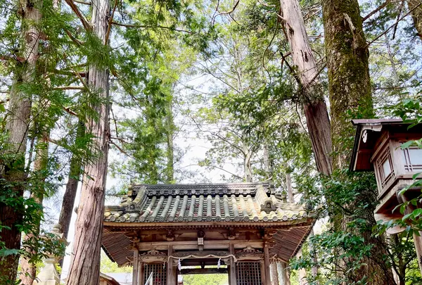 和気神社の写真・動画_image_1576749