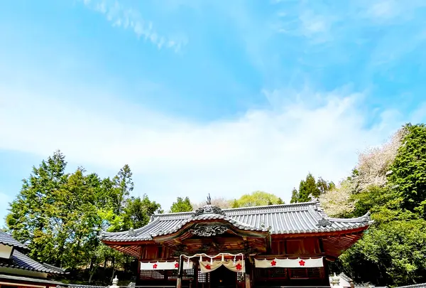 和気神社の写真・動画_image_1576752