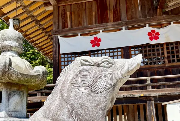 和気神社の写真・動画_image_1576755