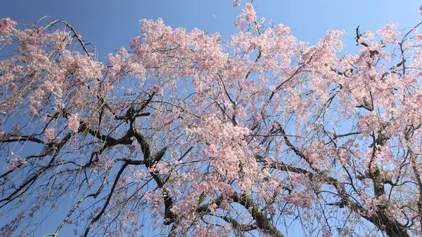 泉自然公園の写真・動画_image_1577251