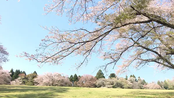 泉自然公園の写真・動画_image_1577252
