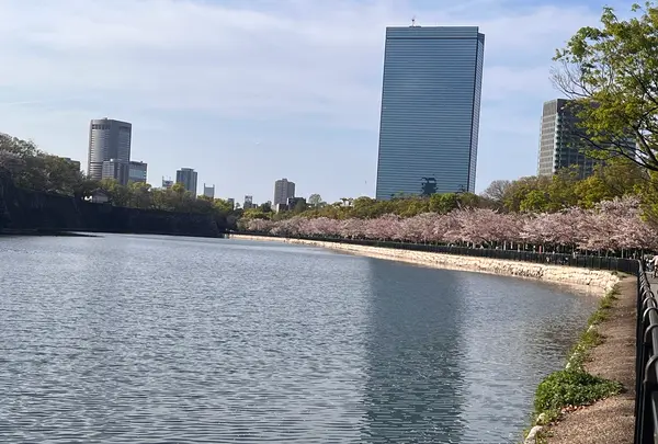大阪城公園の写真・動画_image_1578130