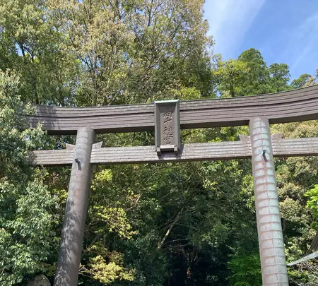 高千穂神社の写真・動画_image_1579580