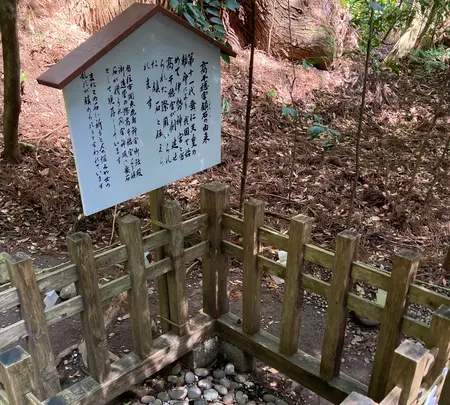 高千穂神社の写真・動画_image_1579582