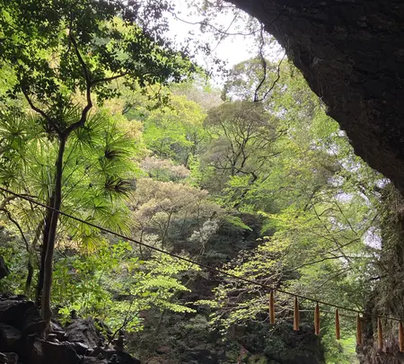 天安河原の写真・動画_image_1579595