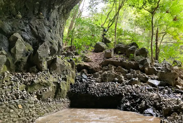 天安河原の写真・動画_image_1579596