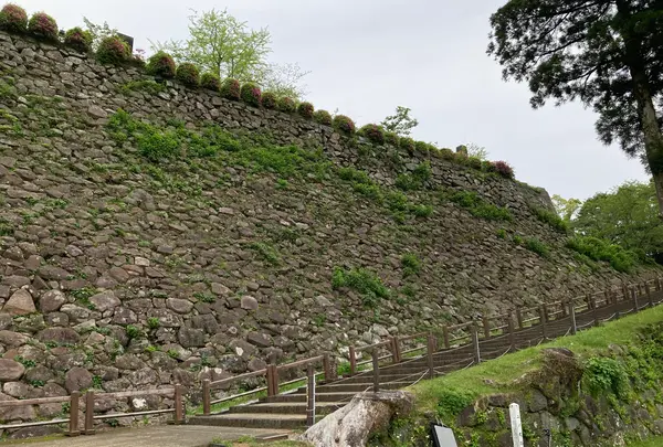 延岡城址の写真・動画_image_1579611