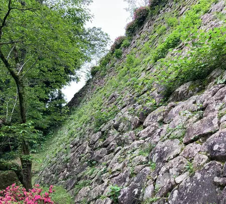 延岡城址の写真・動画_image_1579613