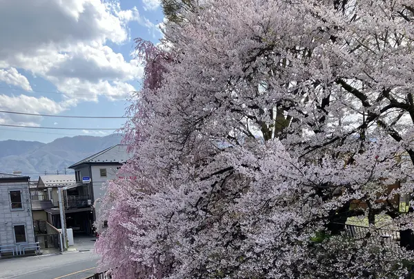 高島城の写真・動画_image_1580850