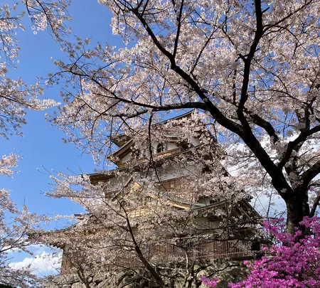 高島城の写真・動画_image_1580851