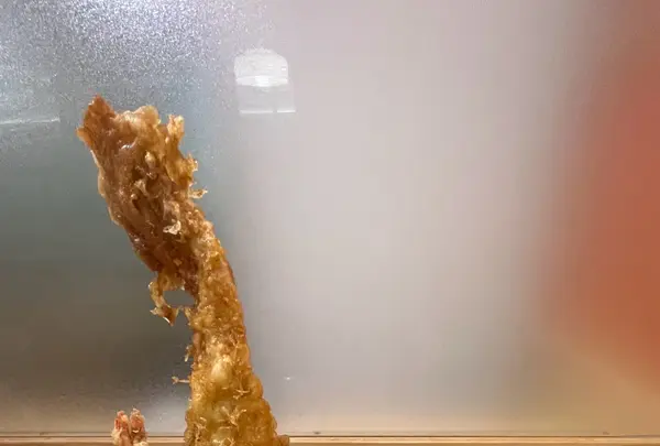 天麩羅えびのやサカエチカ店の写真・動画_image_1585551