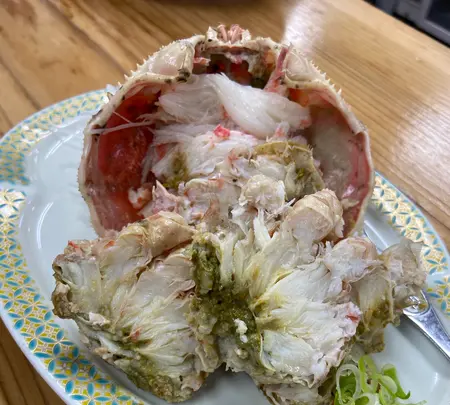 サカトケ乃カミの写真・動画_image_1587210