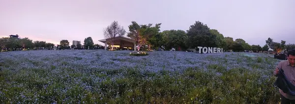 舎人公園の写真・動画_image_1588370