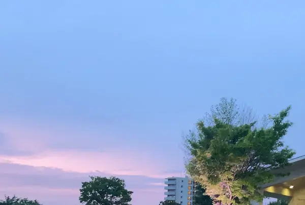 舎人公園の写真・動画_image_1588373